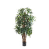 RAPHIS PALM THIN LEAF 1.2M