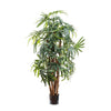 RAPHIS PALM THIN LEAF 1.6M