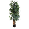 RAPHIS PALM THIN LEAF 2M