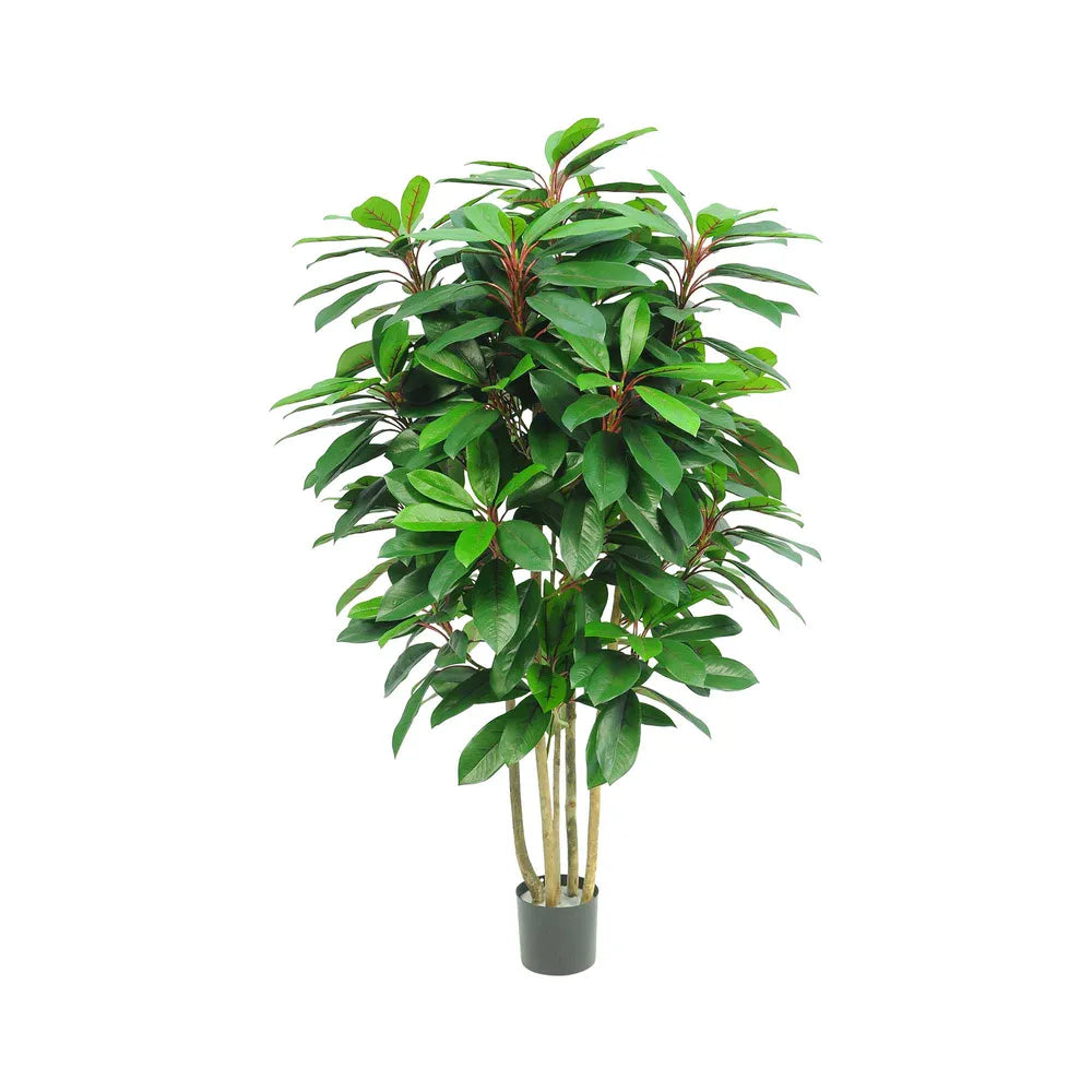 Schefflera Tree Green and Red with 450 Leaves