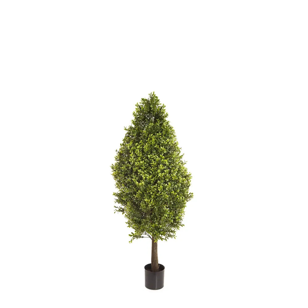 Boxwood Cone 90cm