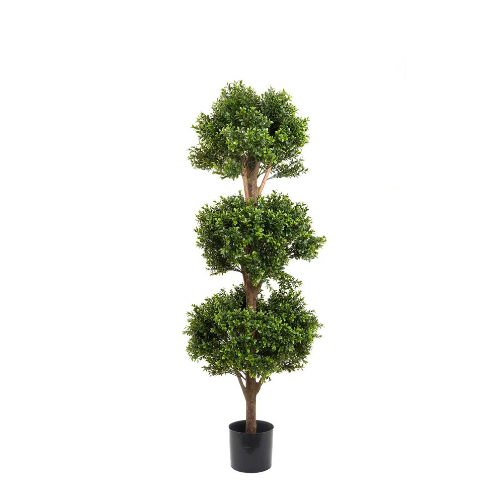 Boxwood Triple Ball Tree 1.2m – House 2 Home Collection