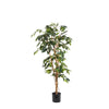 Ficus Real Touch 1.2m