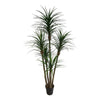 Yucca Tree in Black Pot 180cm