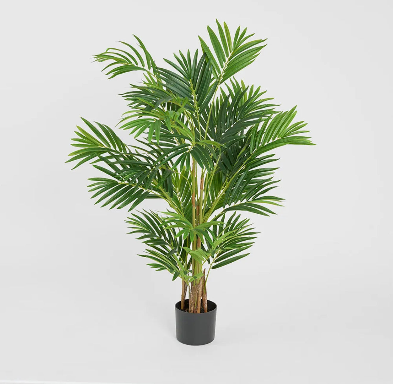 Real Touch Mini Palm Tree in Black Pot 120cm