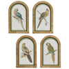 Parrots in Arches wall art set of four featuring colorful parrots in decorative arch frames.