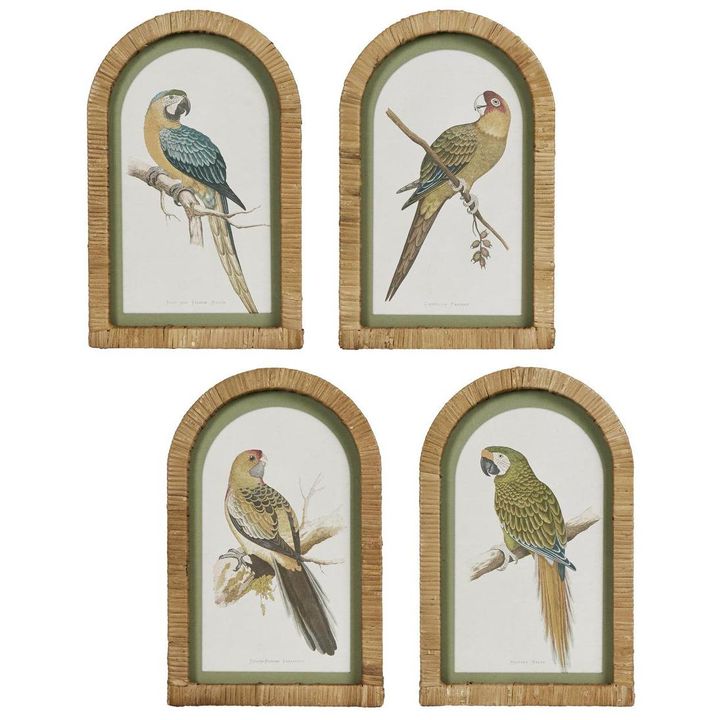 Parrots in Arches wall art set of four featuring colorful parrots in decorative arch frames.