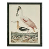 Graceful Cranes wall art featuring elegant crane bird design framed in black with natural materials