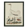 Graceful Cranes wall art featuring elegant crane bird design framed in black with natural materials
