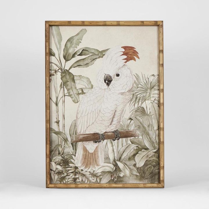 Green jungle cockatoo canvas wall art with detailed bird illustration and textured natural materials.