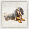 Dachshund Daydream dog art featuring dachshund portrait with creamy neutral tones and soft painterly brushwork.