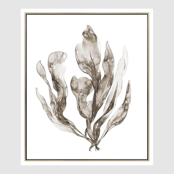 Coastal Botanical artwork featuring sea foliage in soft sepia tones with fluid organic brushwork.