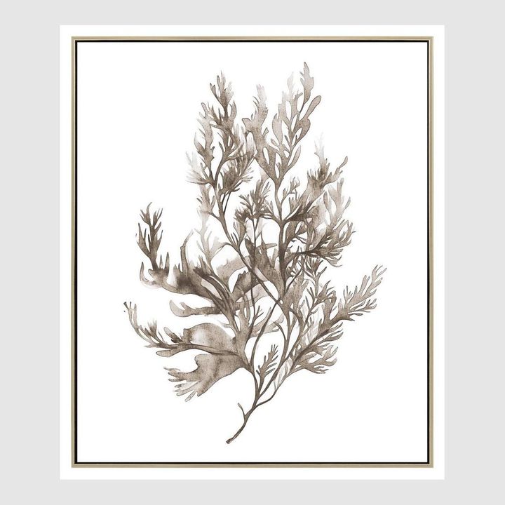 Coastal Botanical artwork featuring sea foliage in soft sepia tones with fluid organic brushwork.