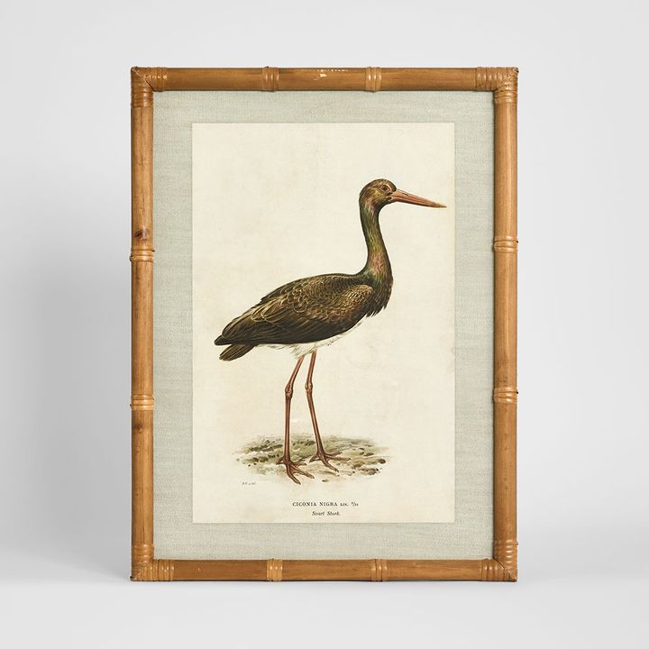 Heron Study A heron wall art framed nature artwork 45x60 cm