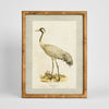 Heron Study B heron wall art framed nature artwork 45x60 cm