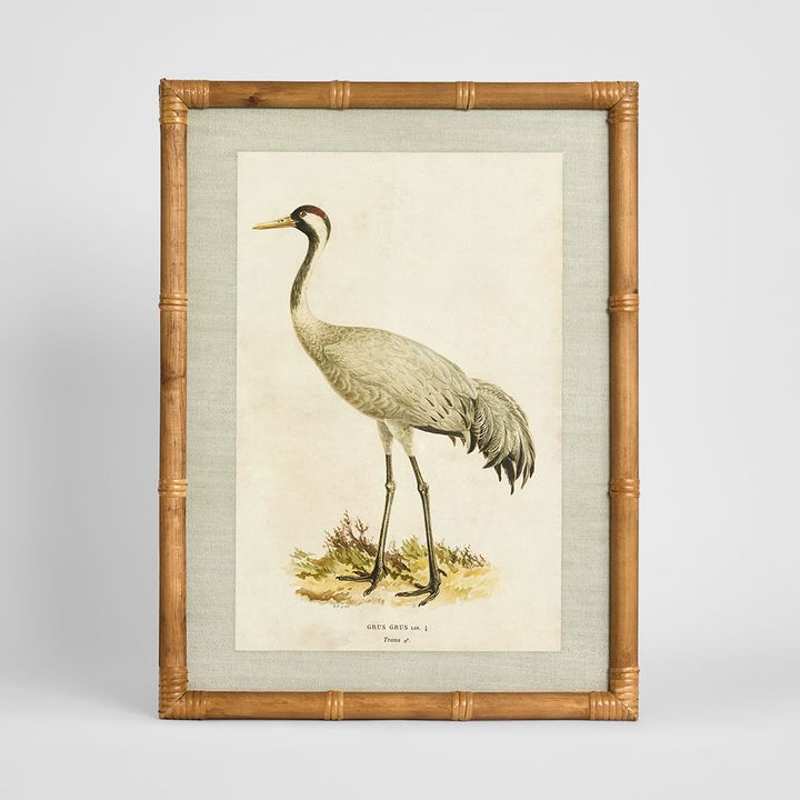 Heron Study B heron wall art framed nature artwork 45x60 cm