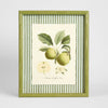 Apple Study 1 wall art featuring a detailed apple illustration in natural tones, framed botanical artwork 34x42 cm