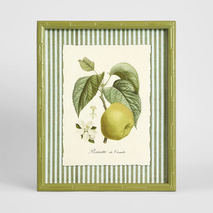 Apple Study 2 wall art featuring a detailed apple illustration in natural tones, framed botanical artwork 34x42 cm