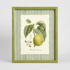 Apple Study 2 wall art featuring a detailed apple illustration in natural tones, framed botanical artwork 34x42 cm