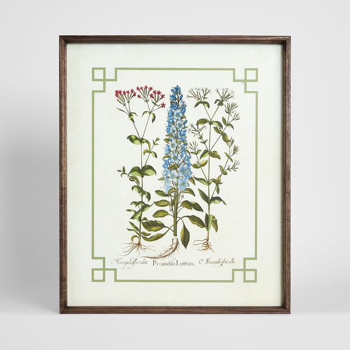 Vintage Flora 1 wall art featuring a classic botanical floral illustration in rich colours, framed vintage style artwork 50x60 cm