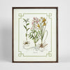 Vintage Flora 2 wall art featuring a classic botanical floral illustration in rich colour tones, framed vintage style artwork 50x60 cm