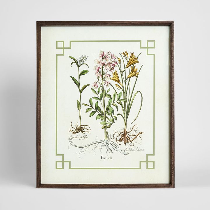 Vintage Flora 2 wall art featuring a classic botanical floral illustration in rich colour tones, framed vintage style artwork 50x60 cm