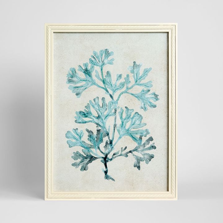 Blue coral study wall art canvas featuring detailed ocean-inspired coral design in soft blue tones, 45x60cm coastal artwork for living room or bedroom decor