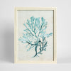 Blue Coral Study 2 wall art canvas featuring detailed ocean coral design in blue tones, 45x60cm coastal artwork for living room or bedroom decor