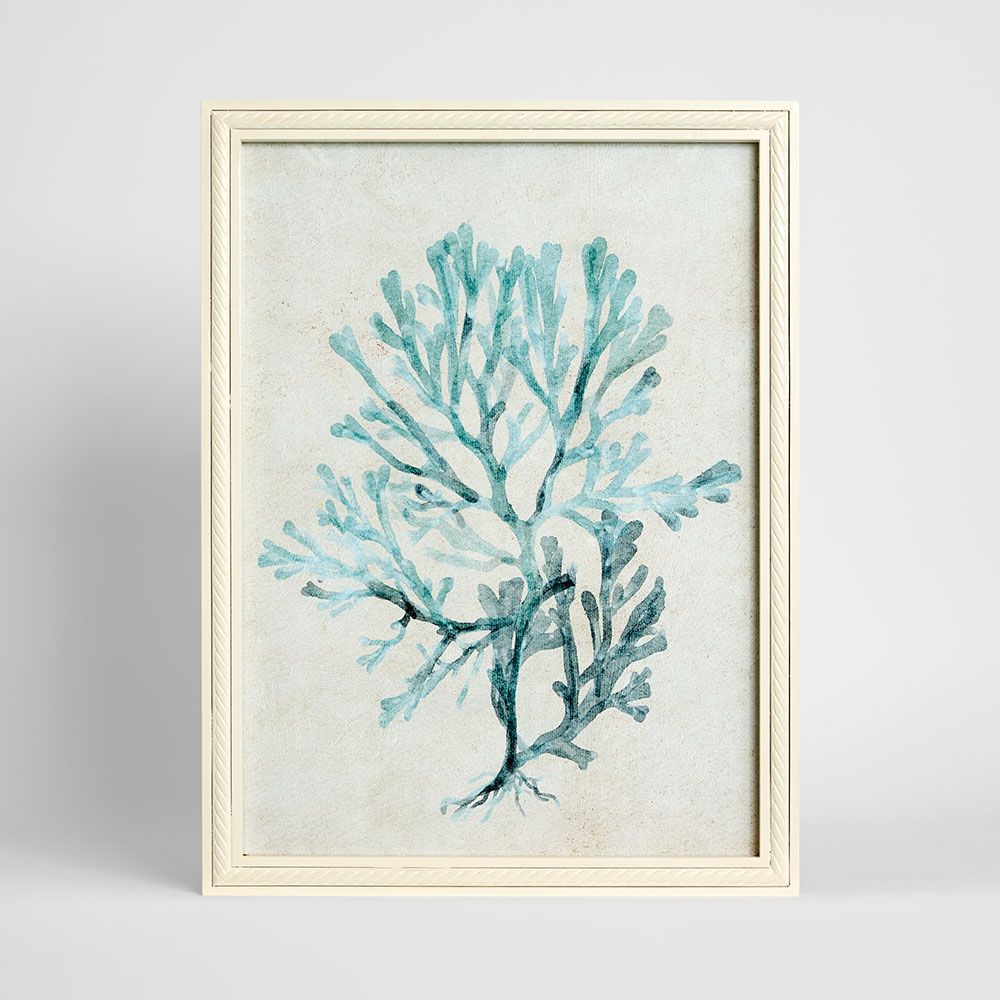 Blue Coral Study 2 wall art canvas featuring detailed ocean coral design in blue tones, 45x60cm coastal artwork for living room or bedroom decor