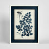 Botanical Blueprint B wall art canvas featuring detailed blue botanical illustration, 45x60cm nature inspired artwork for living room or bedroom décor