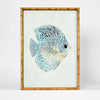 Azure Reef Fish A wall art featuring vibrant reef fish illustration in blue ocean tones, 50x70cm coastal artwork for living room or beach house decor