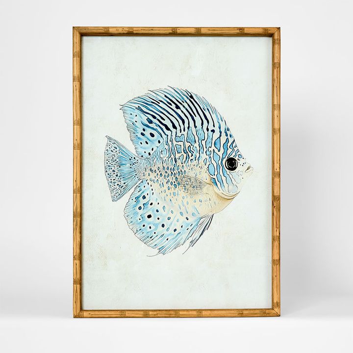 Azure Reef Fish A wall art featuring vibrant reef fish illustration in blue ocean tones, 50x70cm coastal artwork for living room or beach house decor