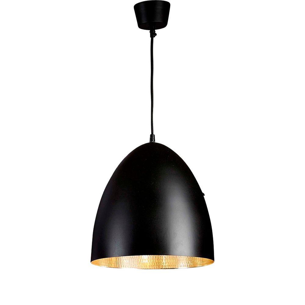 Egg Ceiling Pendant Black & Silver