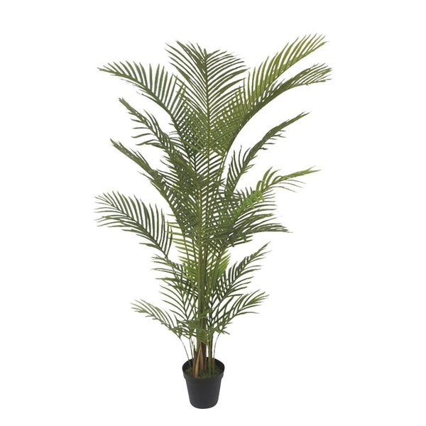 Real Touch Palm Tree in Black Pot House 2 Home Collection