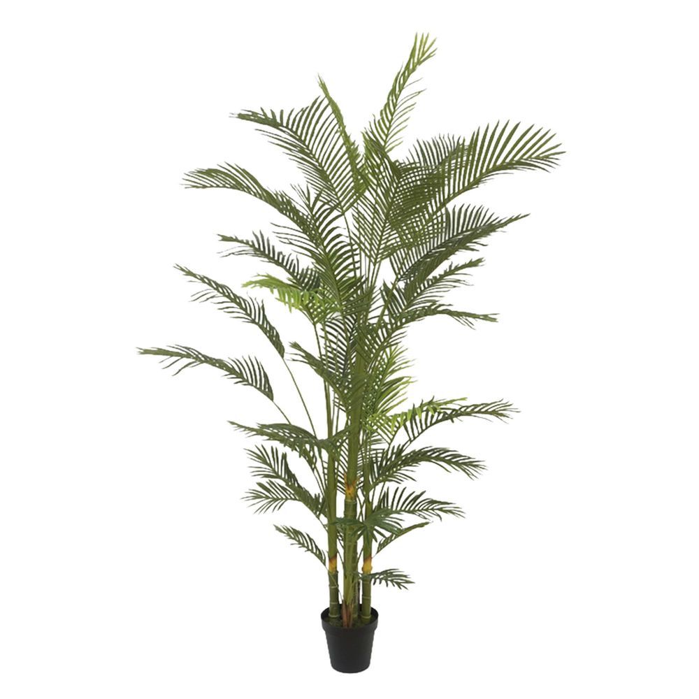 Real Touch Palm Tree in Black Pot