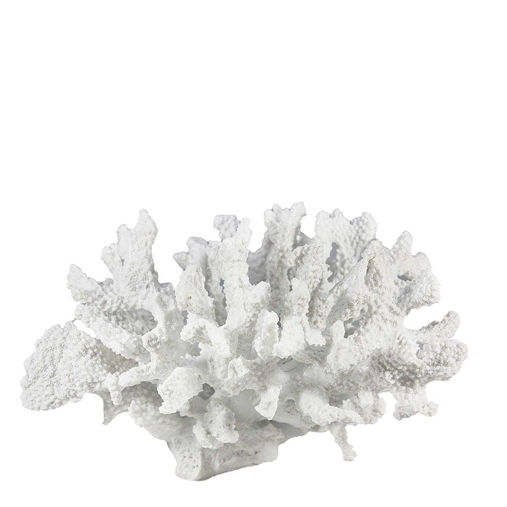 Reef Coral White