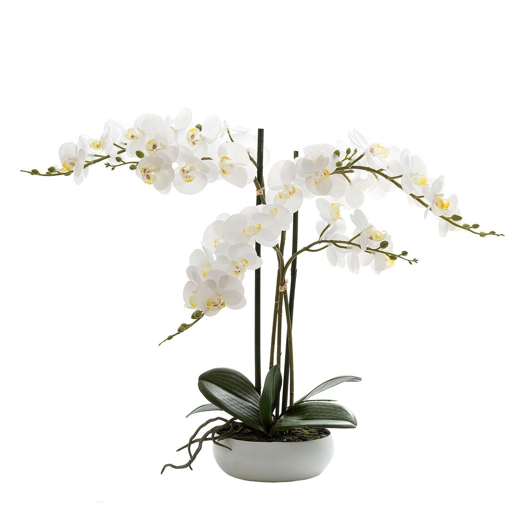 Phalaenopsis Real Touch Gloss Ceramic Pot 45cm White