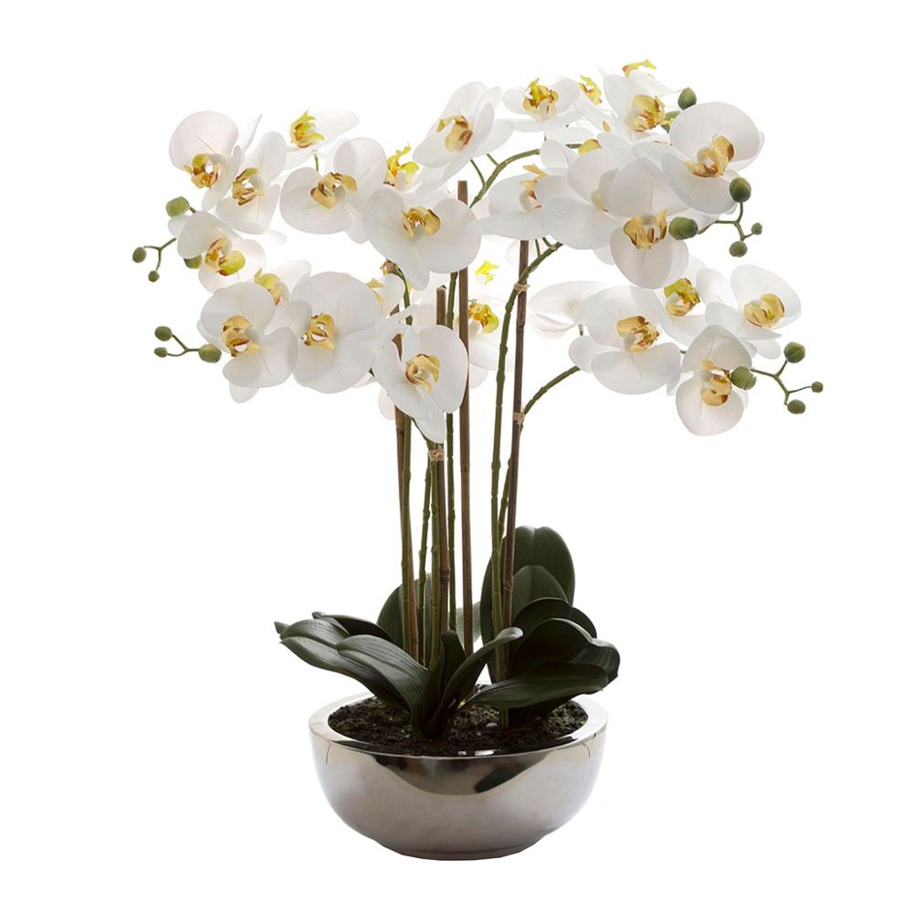 Phalaenopsis Real Touch in 65cm Silver Pot