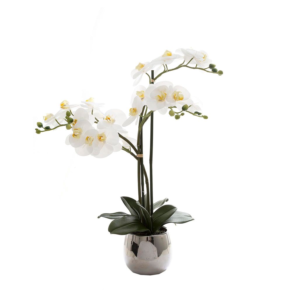 Phalaenopsis Real Touch 67cm Silver Pot