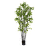 Japanese Bamboo Black Stem 190cm