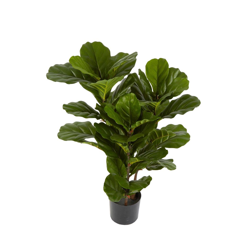 Fiddle Leaf Tree 93cm with 45 leaves