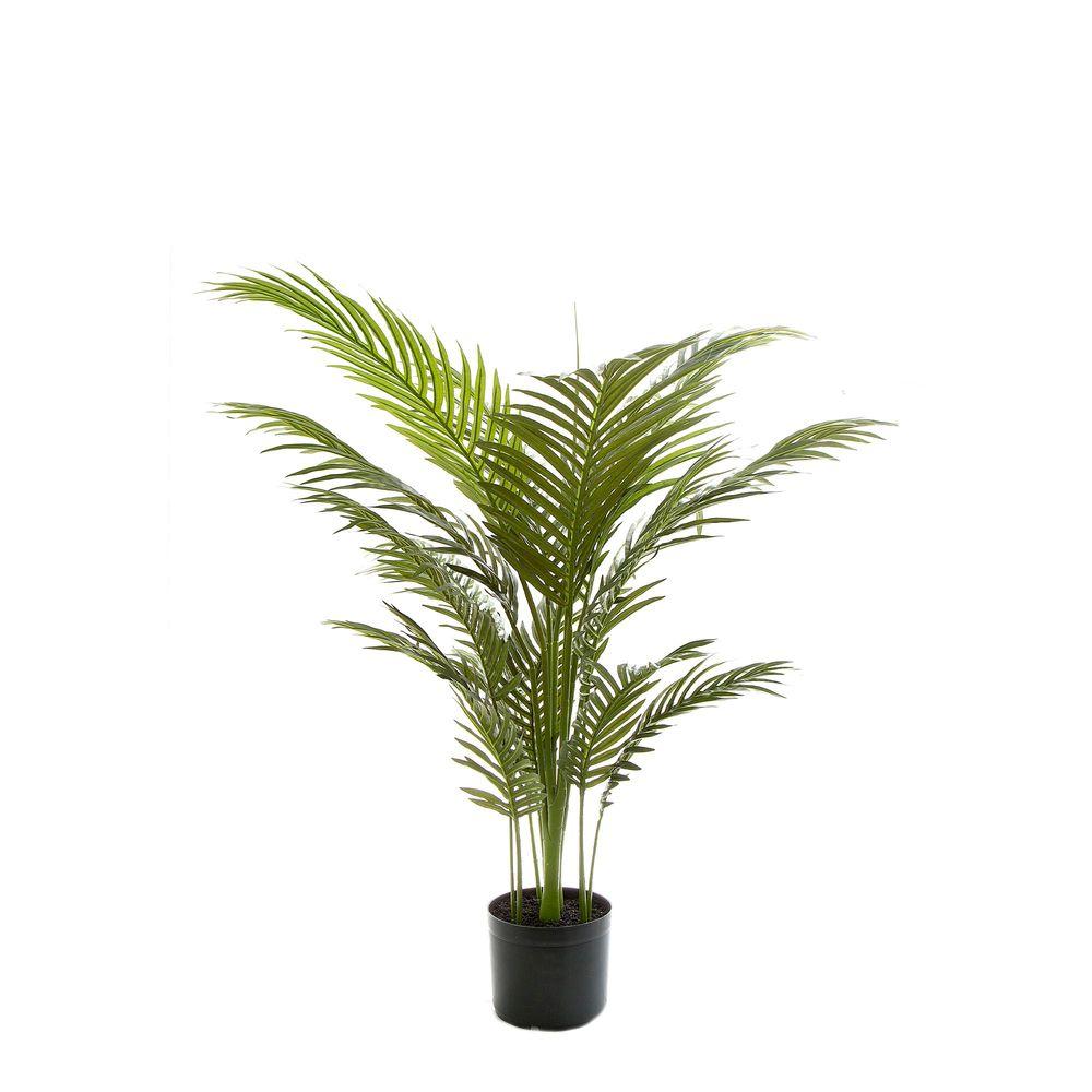 Palm Paradise In Pot 100cm