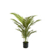 Palm Paradise In Pot 100cm