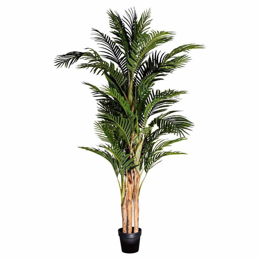 Areca Palm Real Touch 190cm