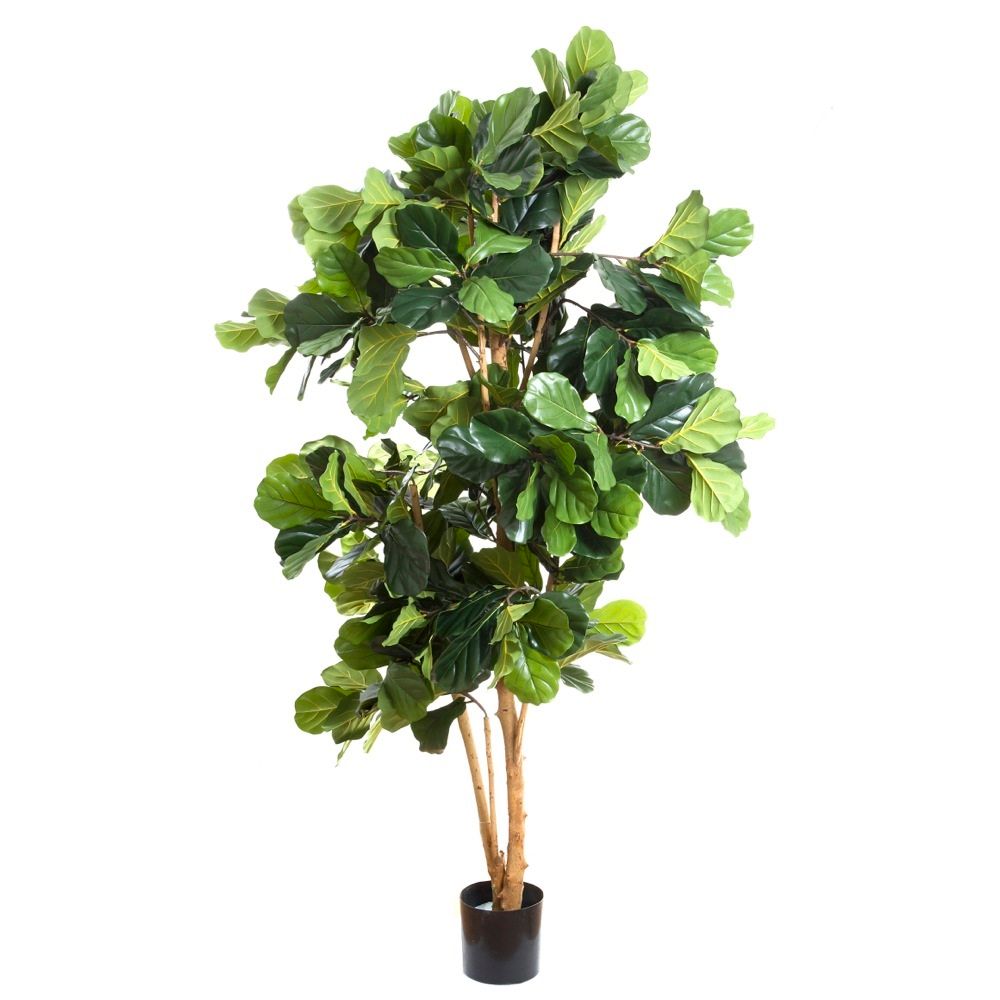 Fiddle Leaf Tree with 372 Leaves 200cm