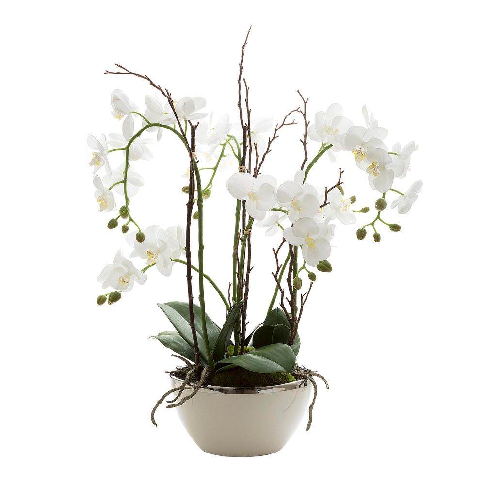 Orchid Real Touch in White Pot 60cm with Silver Rim