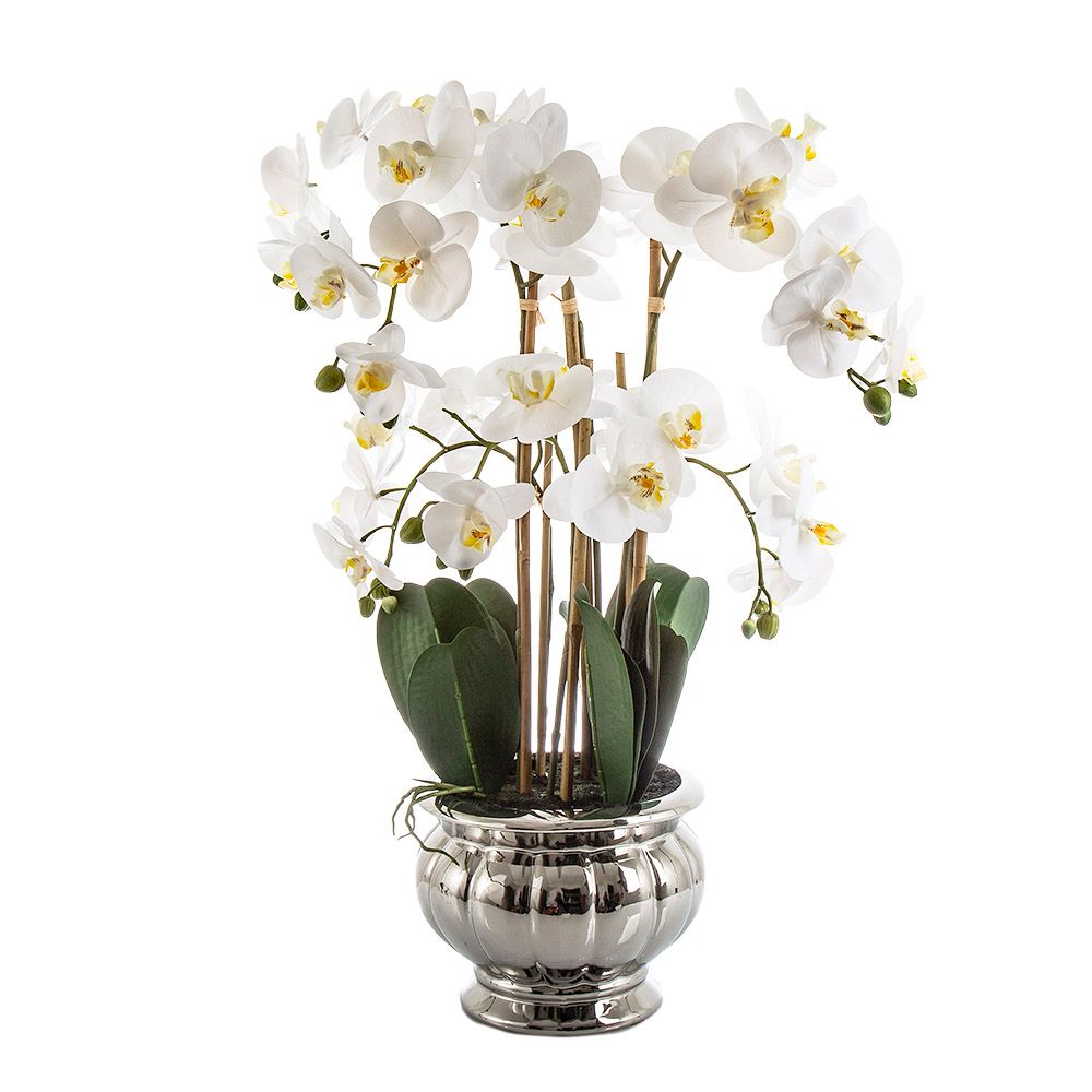 Potted Orchid in Silver Bowl Large 68cm White