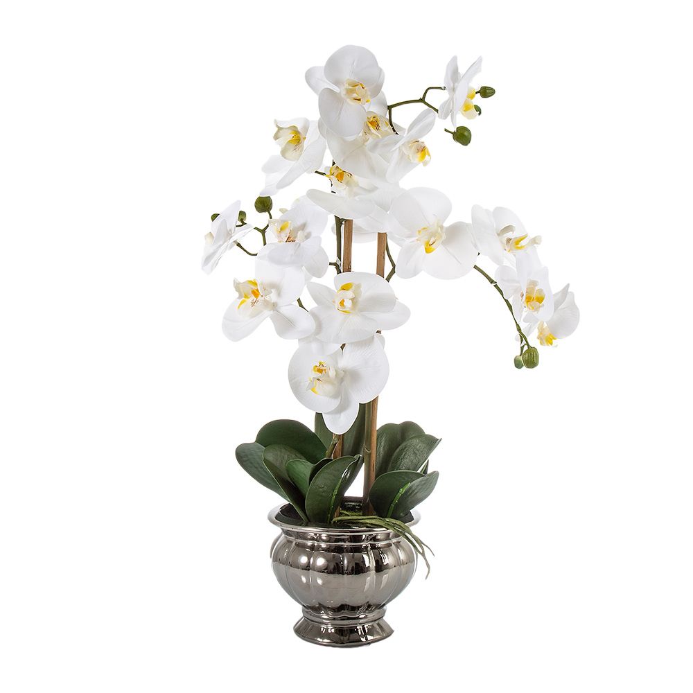 Potted Orchid in Silver Bowl 60cm Small White