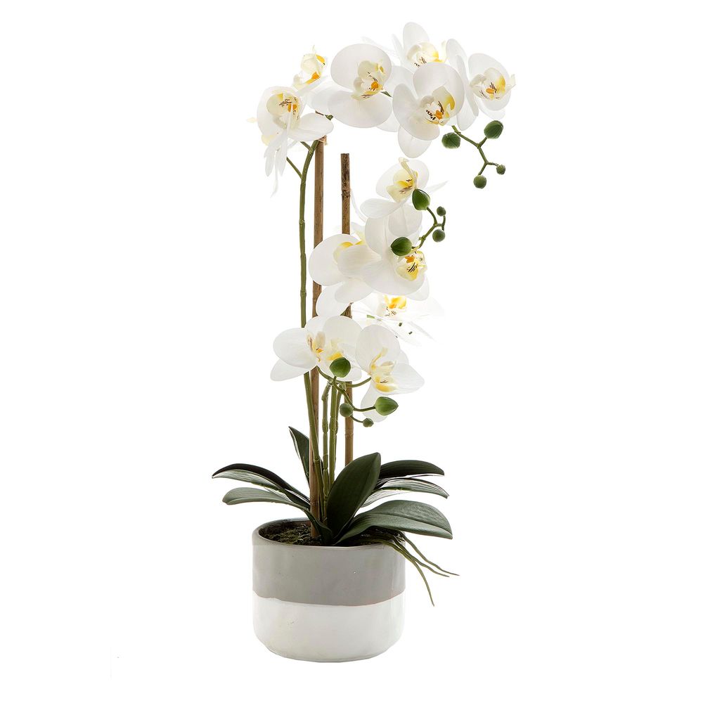 Orchid in Grey Pot 55cm Large White