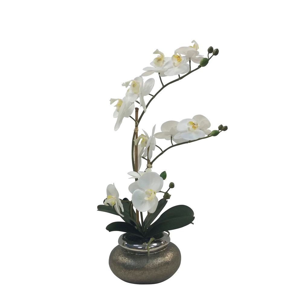 Orchid Phalaenopsis Antique Bowl 53cm Small